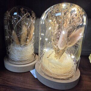light up bell jar